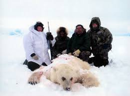 bear