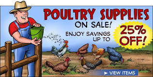 poultry supply's