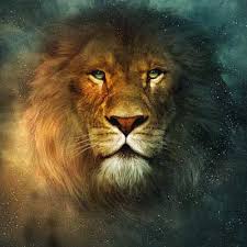 the narnia series