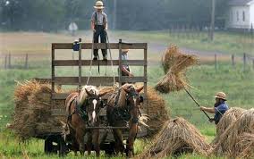 amish new york