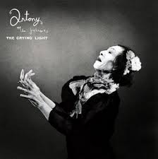 anthony and the johnsons the crying light
