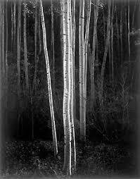 ansel adams best photographs