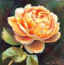 fine art flower