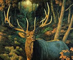 elk artwork