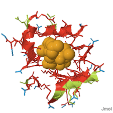 hmg coa reductase