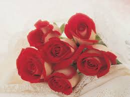 fond-decran-amour-rose.jpg