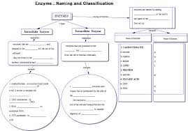 english grammar exercises with answers printable