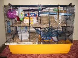 gerbil cages