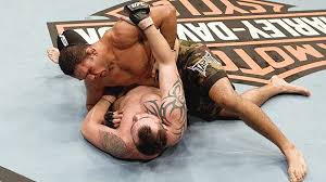 Tim Sylvia vs Antonio Rodrigo
