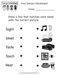 clear printable acetate labels