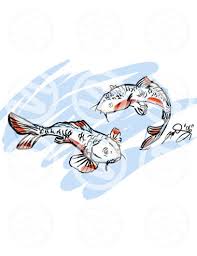 koi fish illustrations