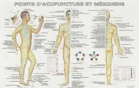 acupuncture meridien