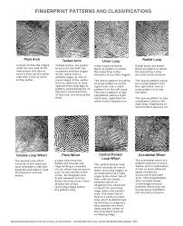 types fingerprints
