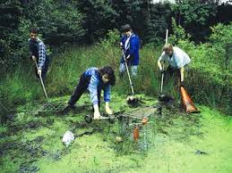 volunteer work