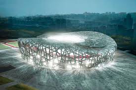 bird nest