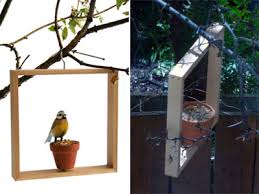 diy bird feeders