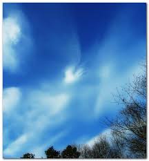 angel in the sky