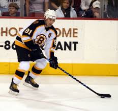 The Boston Bruins