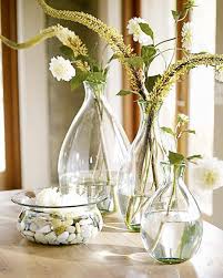 plants vases
