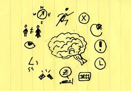 books brain