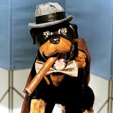 comic the insult comic dog