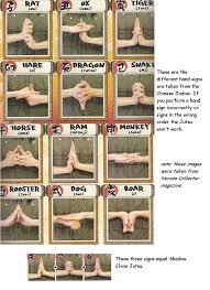 dog hand signals