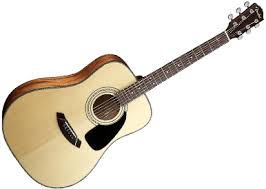 acoustic steel string guitars