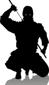 ninja pictures