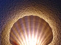 shell light
