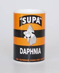 daphnia fish food