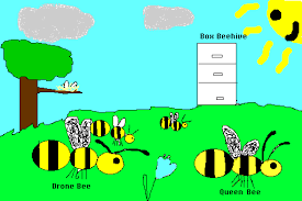 honey bees