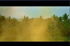 how to yellow fog
