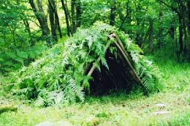 wilderness shelters