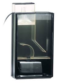 écumeur aquarium