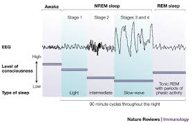 eeg patterns