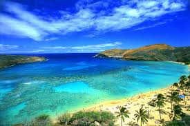 paradise beach