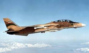 U. S. military specification, mil-spec, mil-std, ms, isd, fed-std, fed-spec, bu, specification, military standard,U. S. Government document, Department of Defense, DOD, national military establishment specification, joint army-navy specification, material specification, SDVOSB,  