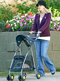 double dog strollers