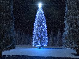 christmas in the snow