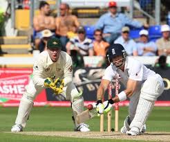 the ashes series