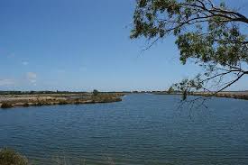 ria formosa algarve