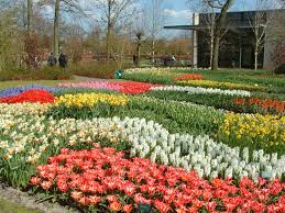 gardens in holland