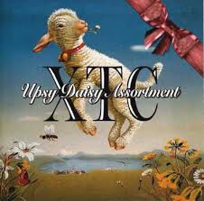 Xtc - Upsy Daisy Assortment