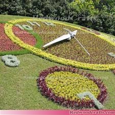 clocks flower