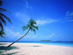 beach wallpapers