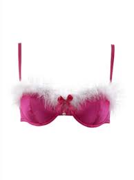 santa bra