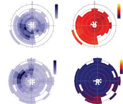 wind rose diagram