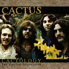 cactus cactology