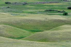 prairie grasslands