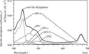 light absorption